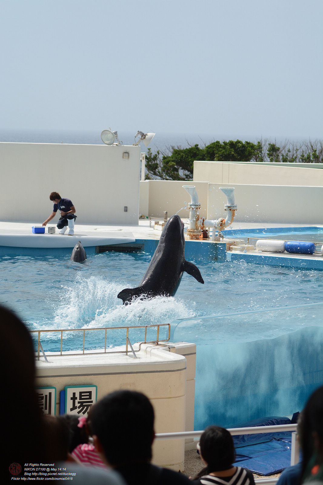 DSC_3077.jpg